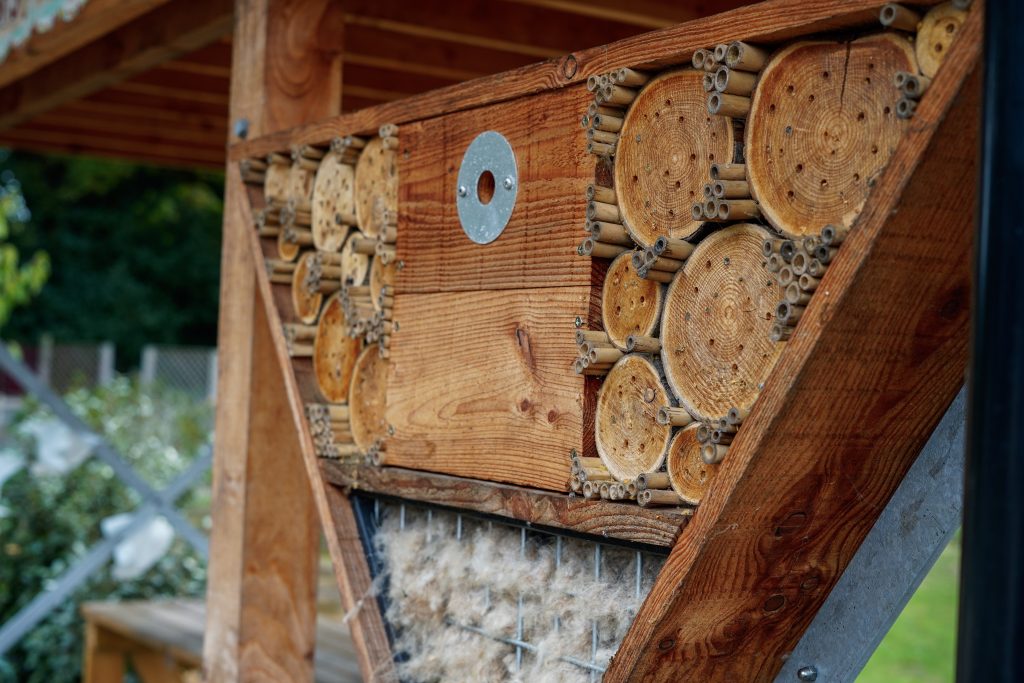 Bug hotel at Trust Links Thundersley
