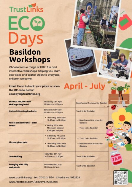 Eco day workshops in Basildon